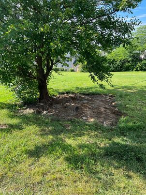 shed removal maineville oh